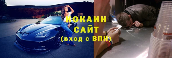 дживик Майский