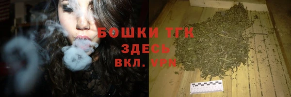 дживик Майский