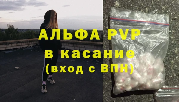 дживик Майский
