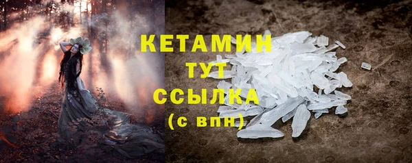 крисы Магас